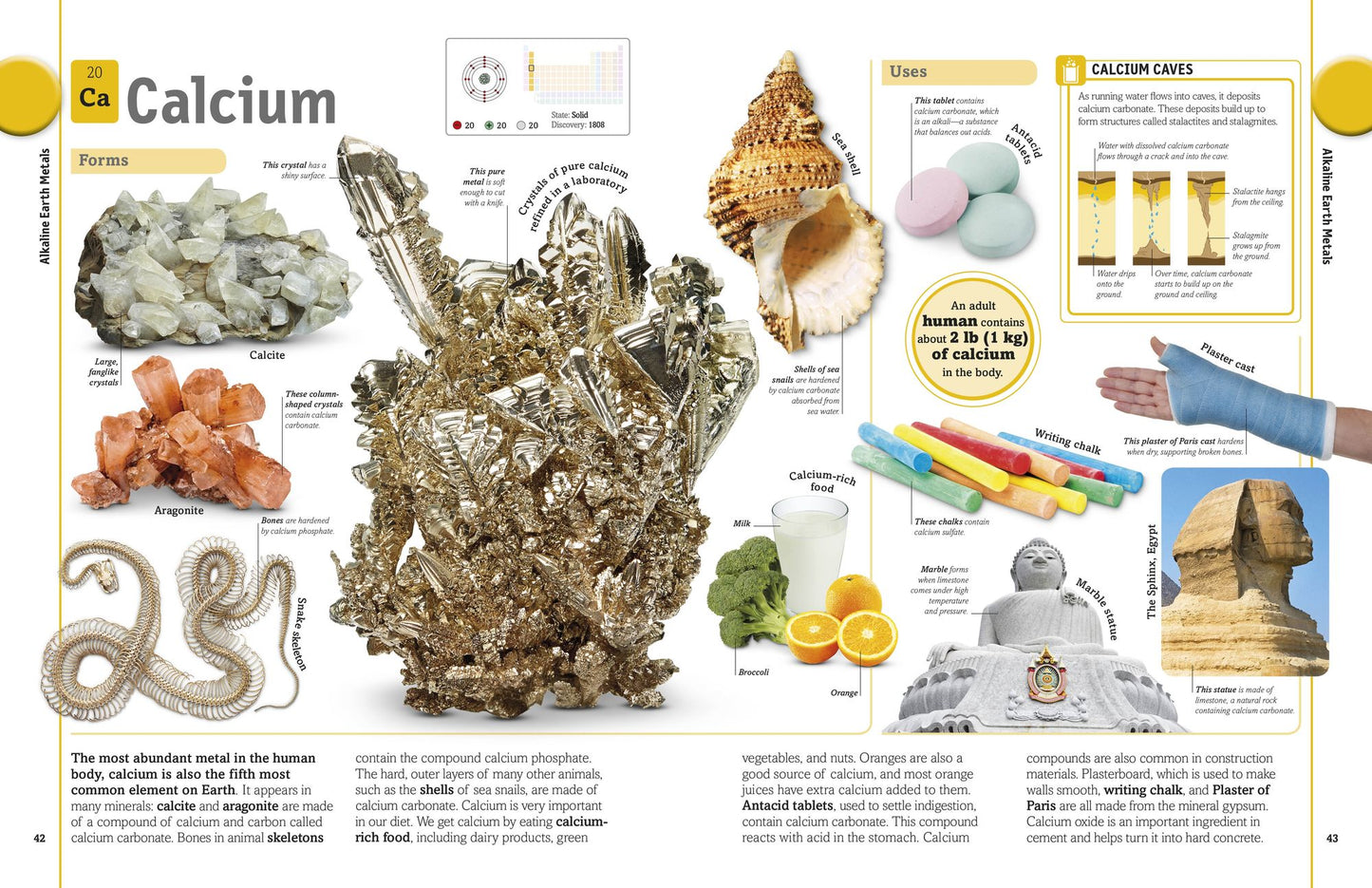 The Elements Book (B&N Exclusive Poster Edition)