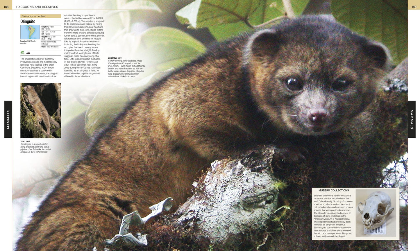 Animal: The Definitive Visual Guide, 3rd Edition