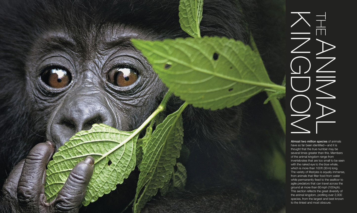 Animal: The Definitive Visual Guide, 3rd Edition