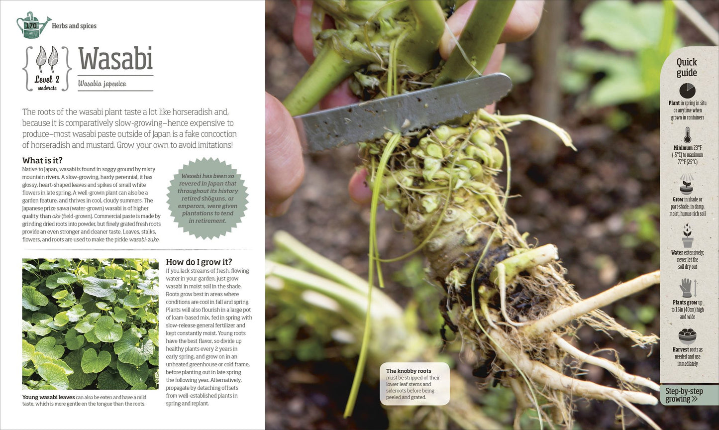 Grow Something Different to Eat: Weird and Wonderful Heirloom Fruits and Vegetables for Your Garden