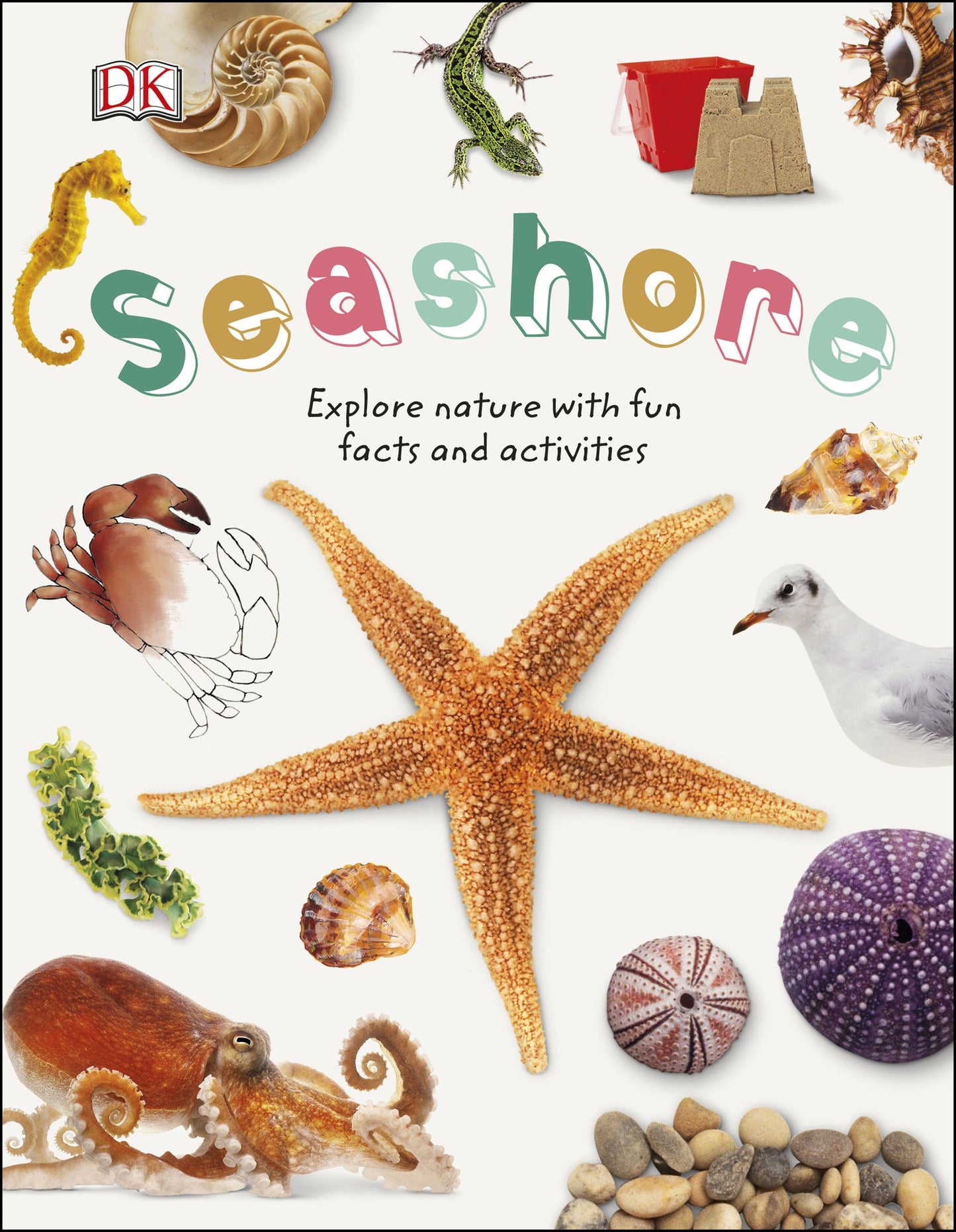 Seashore: Explore the world of shells, sea animals, and shore plants