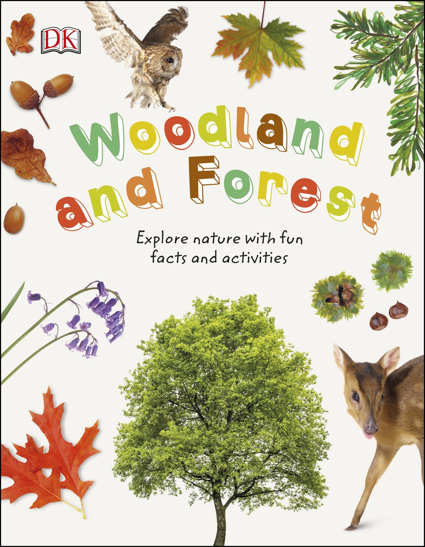 Woodland and Forests: Explore the world of trees, leaves, and woodland animals