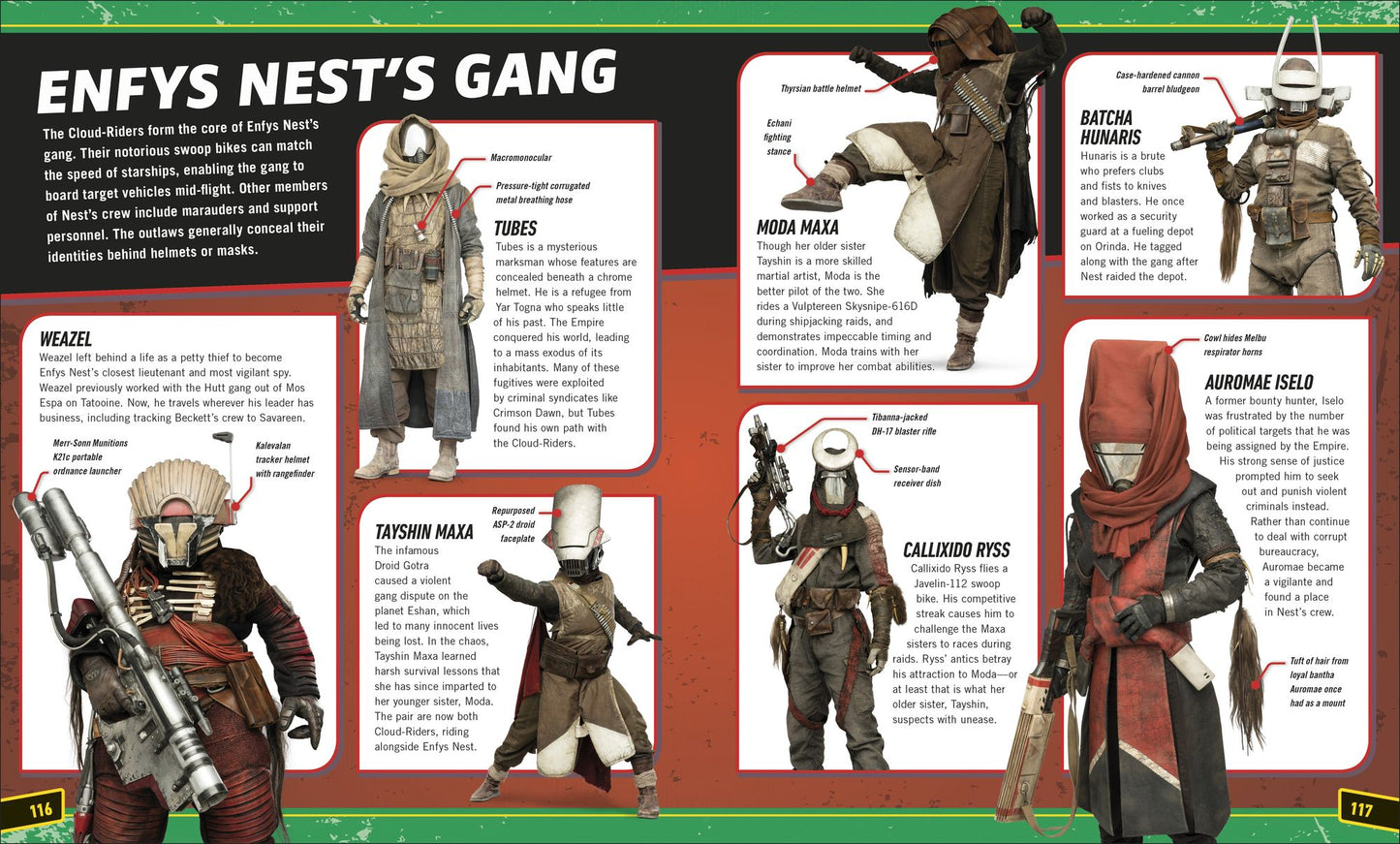 Bronze Mantis Ultimate Visual Guide