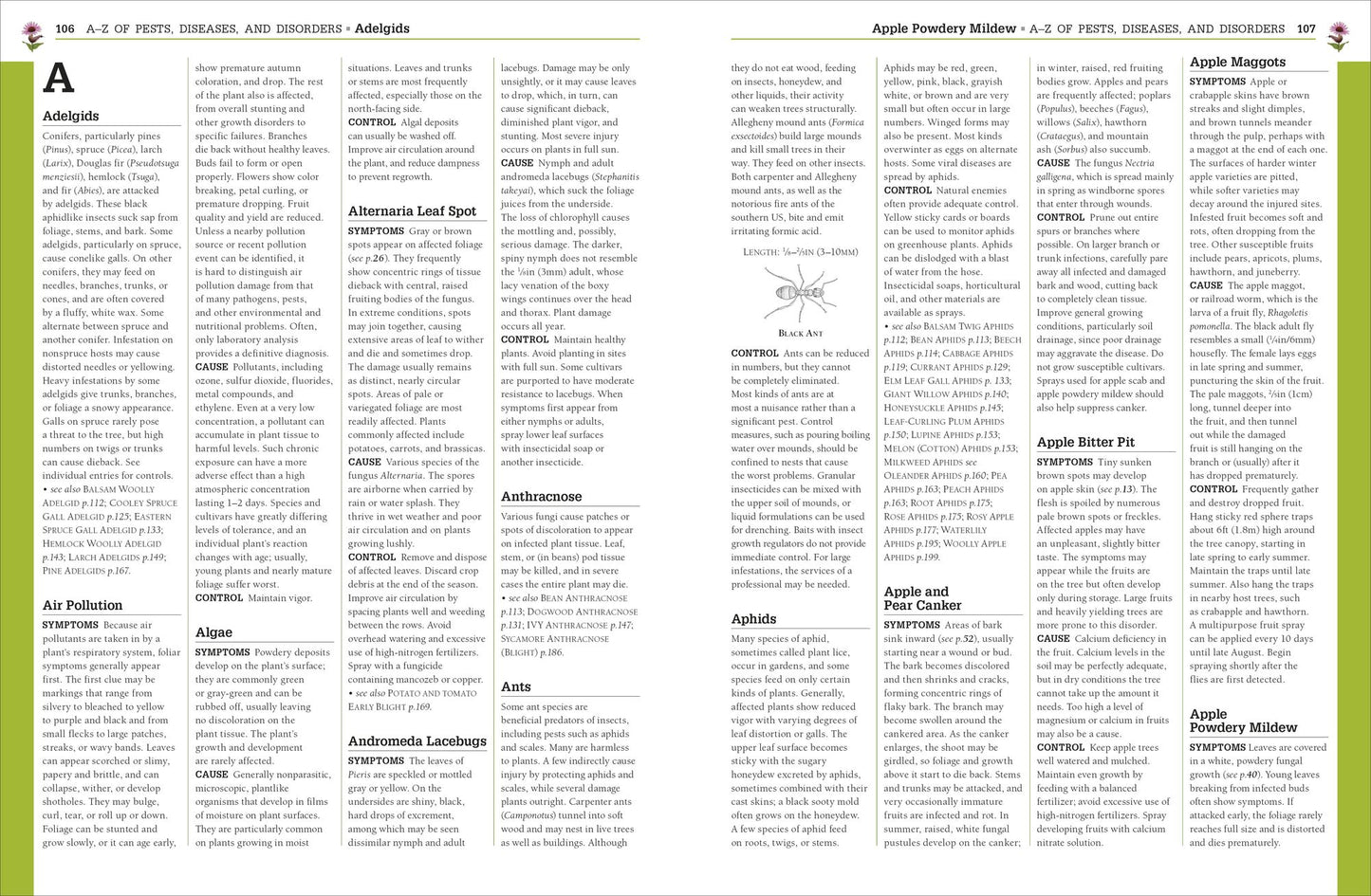 Pests and Diseases