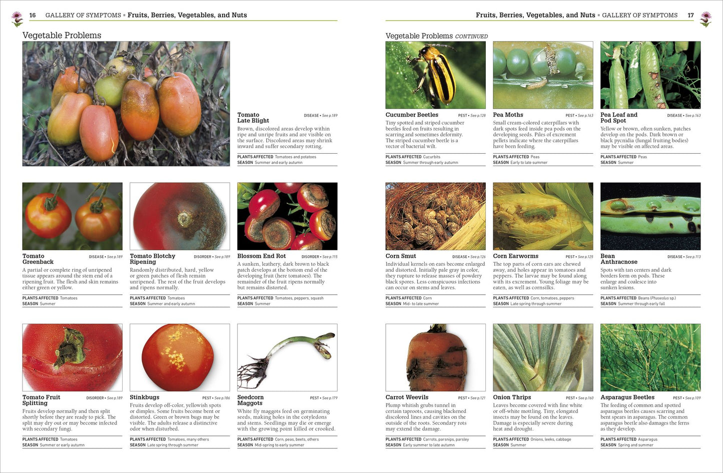 Pests and Diseases