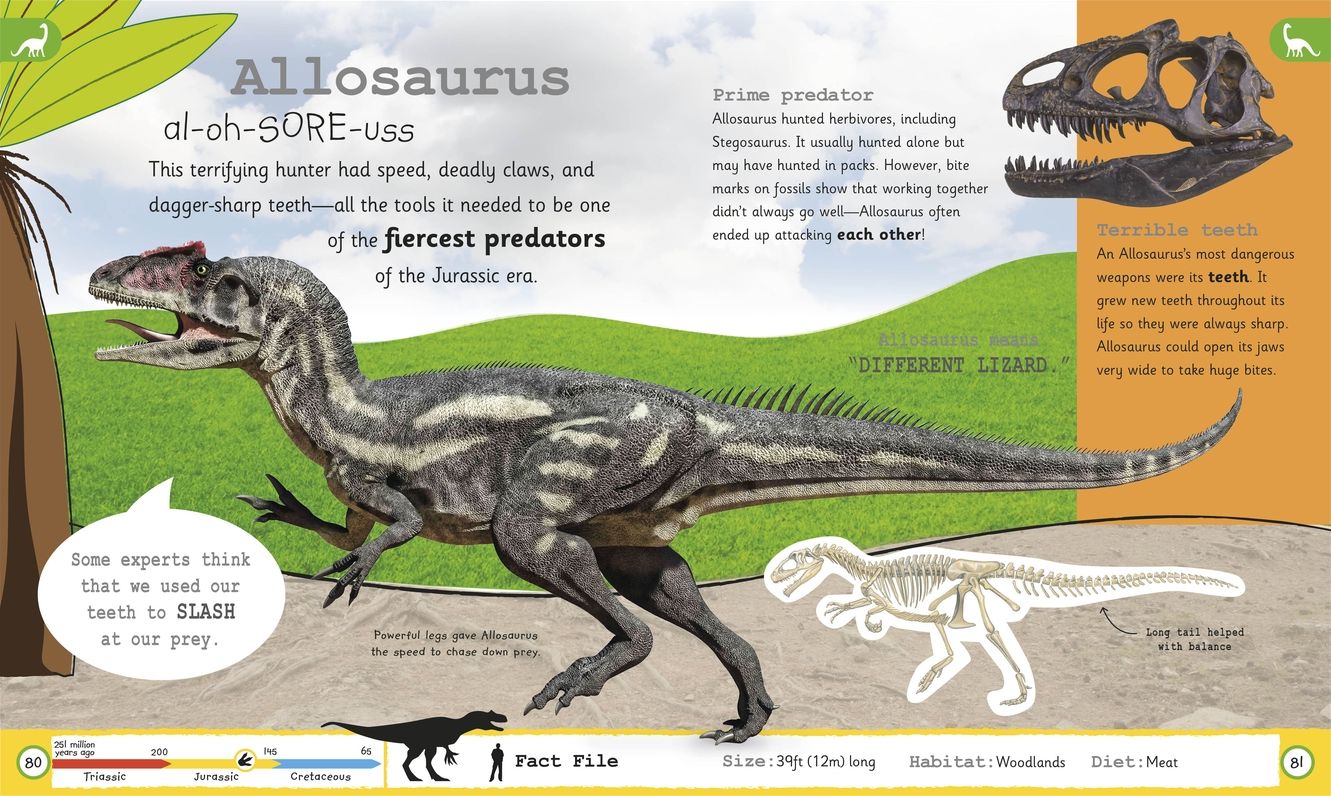 My Encyclopedia of Very Important Dinosaurs : Discover More Than 80 Prehistoric Creatures