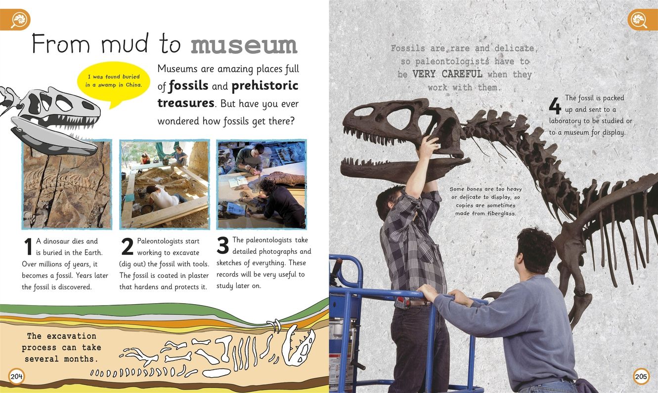 My Encyclopedia of Very Important Dinosaurs : Discover More Than 80 Prehistoric Creatures