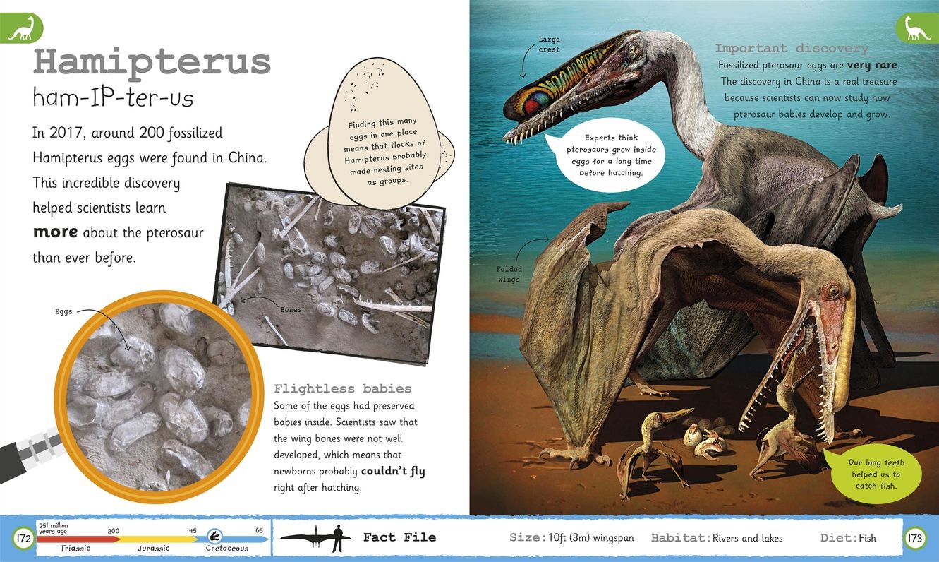 My Encyclopedia of Very Important Dinosaurs : Discover More Than 80 Prehistoric Creatures
