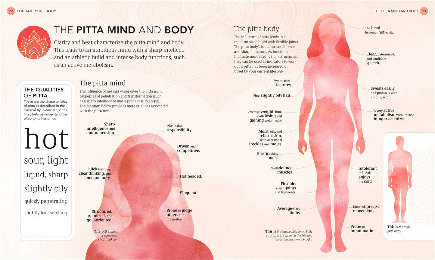Practical Ayurveda: Find Out Who You Are and What You Need to Bring Balance to Your Life