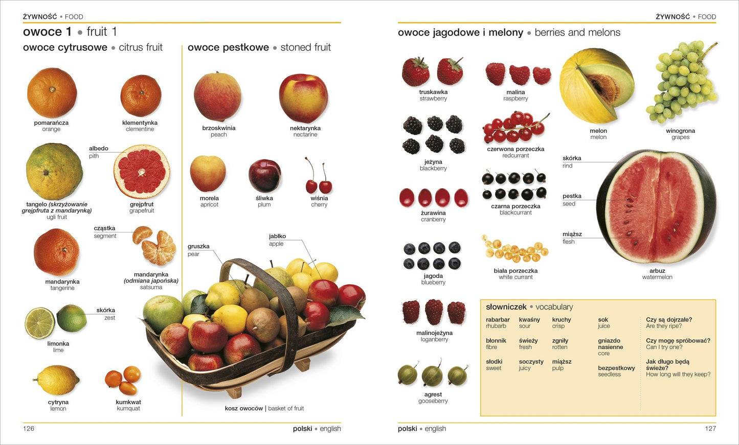Polish English Bilingual Visual Dictionary