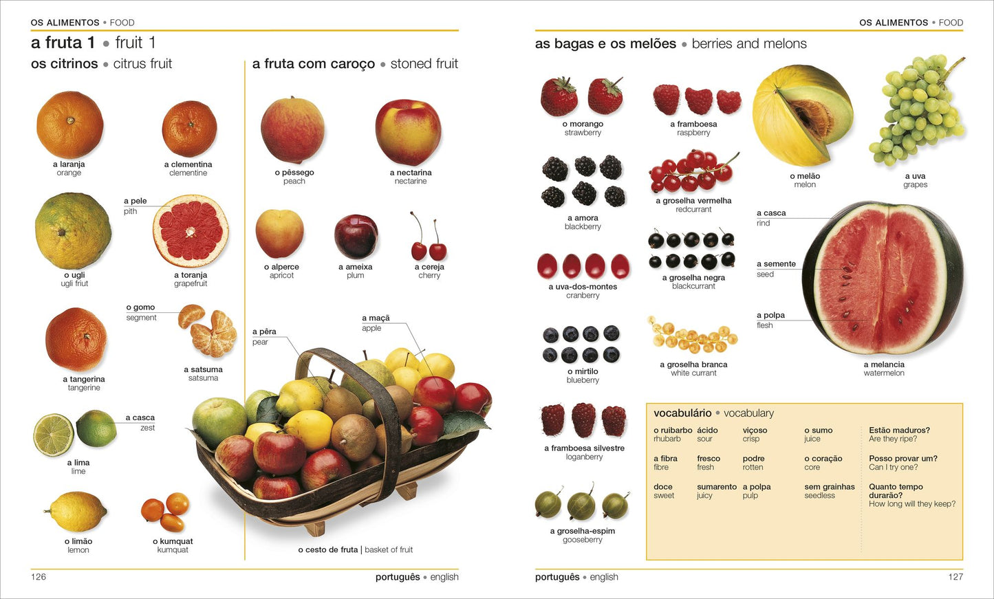 Portuguese English Bilingual Visual Dictionary