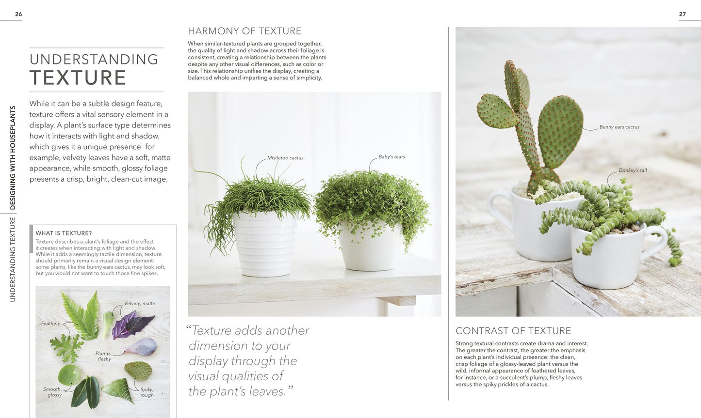 Practical Houseplant Book