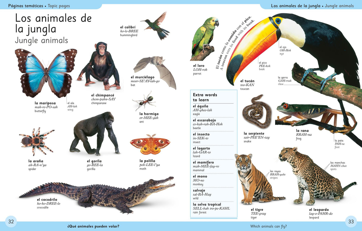 First Spanish Dictionary