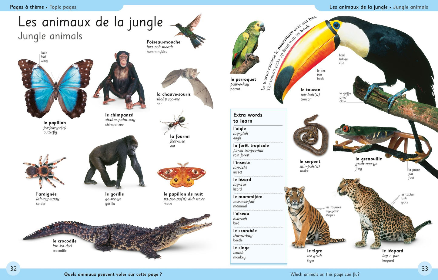 First French Dictionary