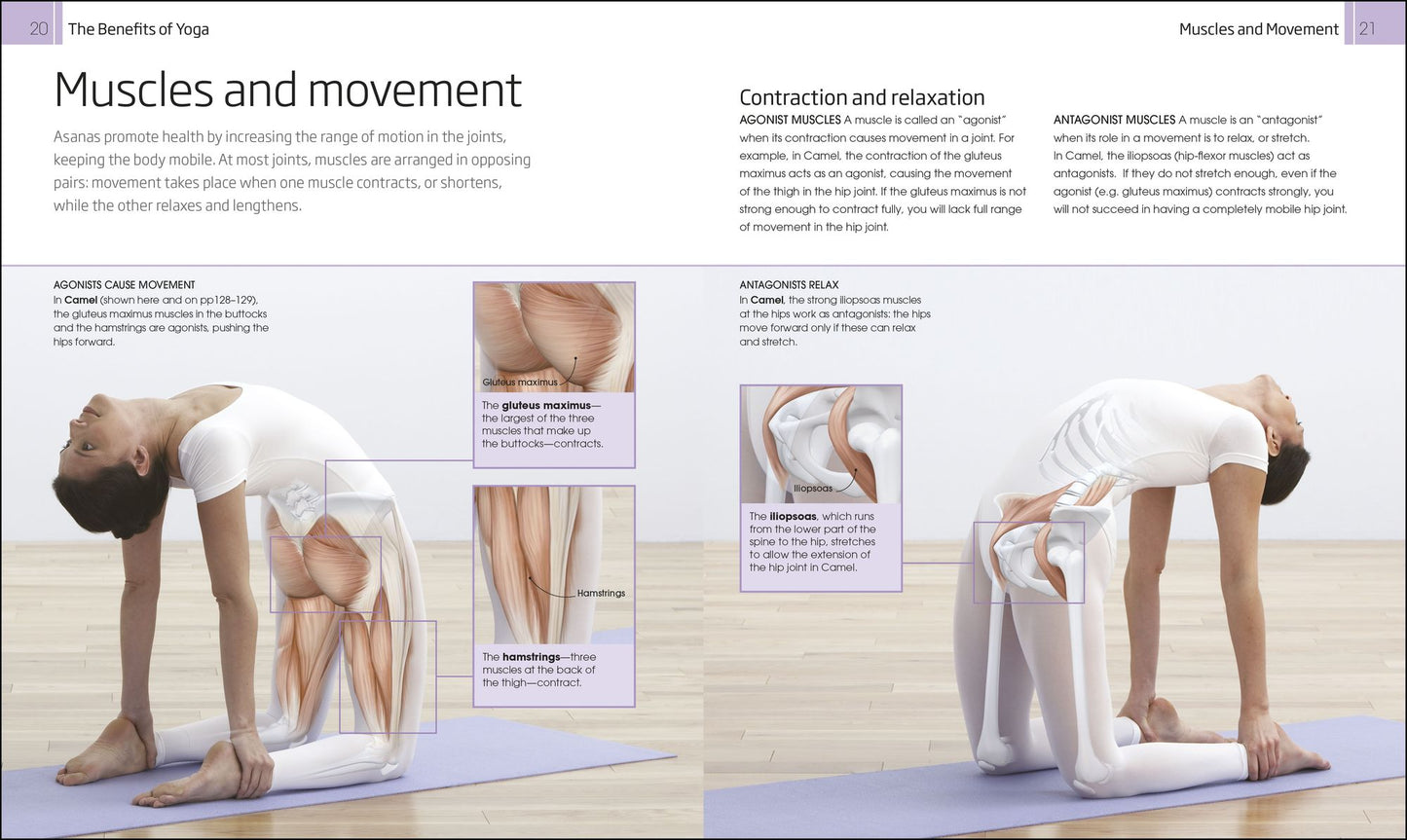 Yoga: Your Home Practice Companion