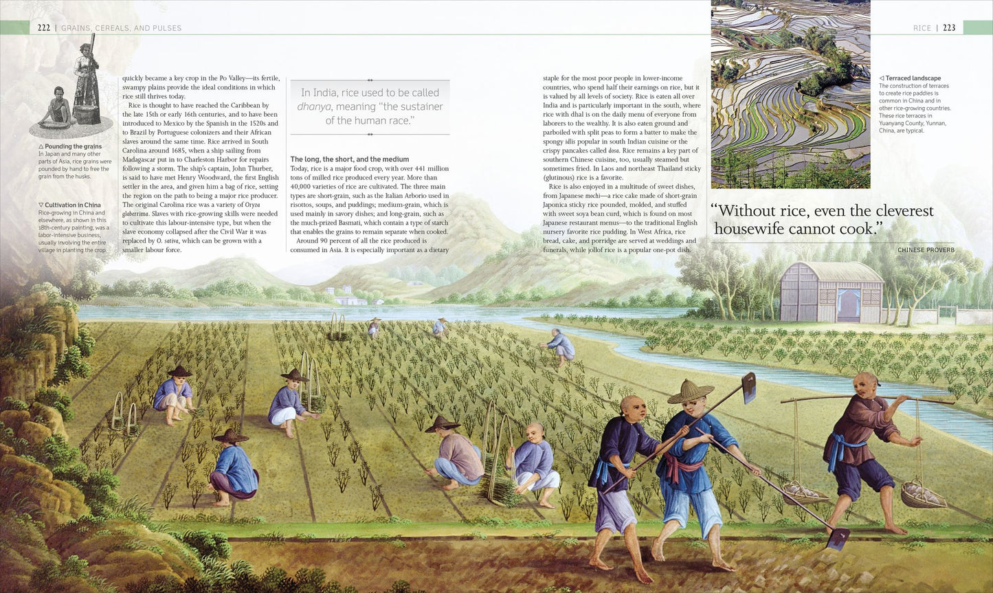 The Story of Food: An Illustrated History of Everything We Eat