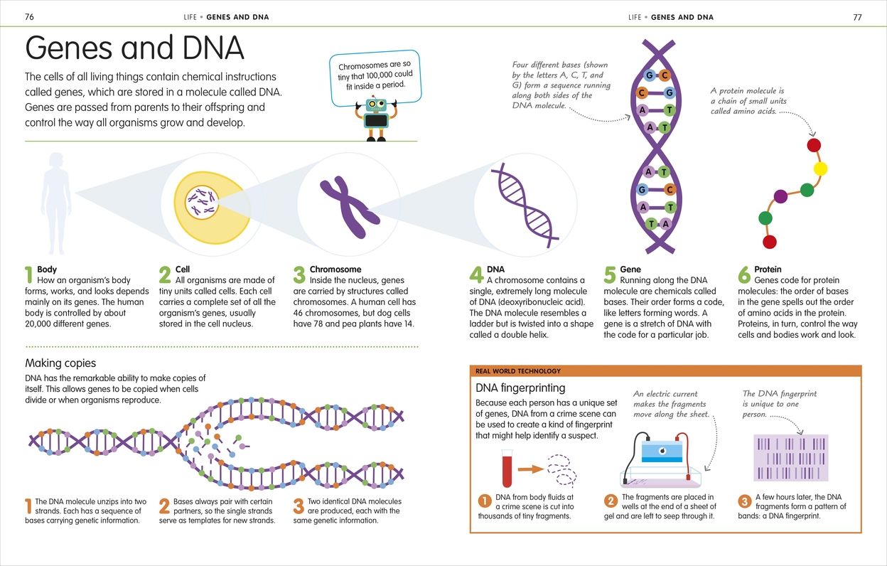 How to Be Good at Science, Technology, and Engineering