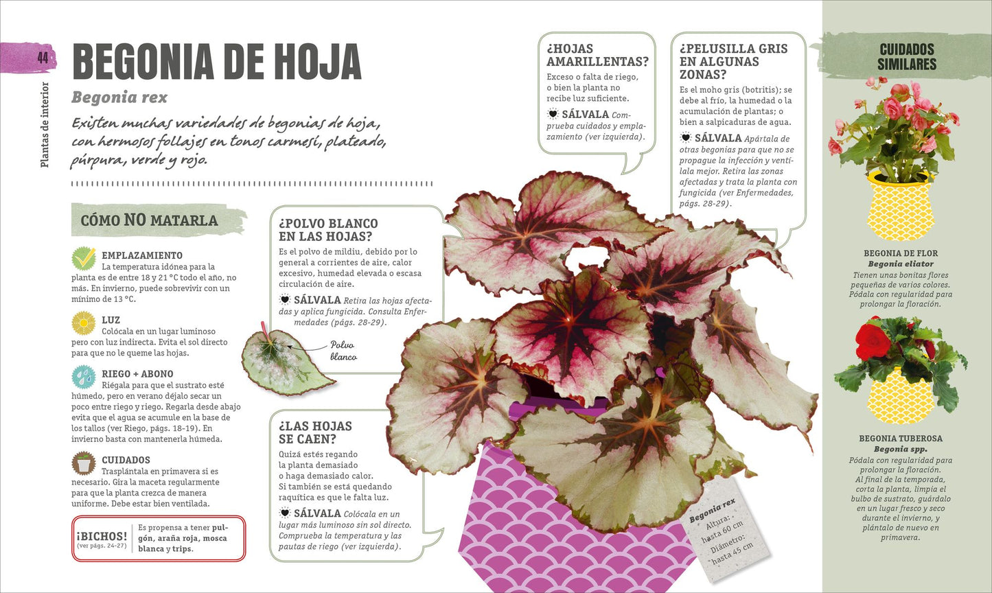 Como No Matar a tus Plantas