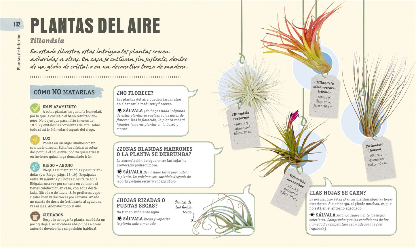 Como No Matar a tus Plantas