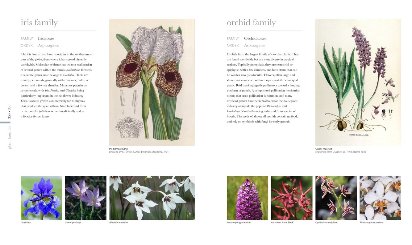 Smithsonian: Flora: The Definitive Visual Guide to the Plant Kingdom