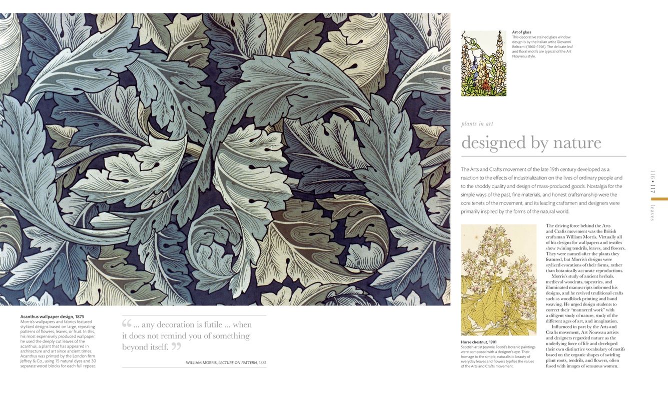 Smithsonian: Flora: The Definitive Visual Guide to the Plant Kingdom