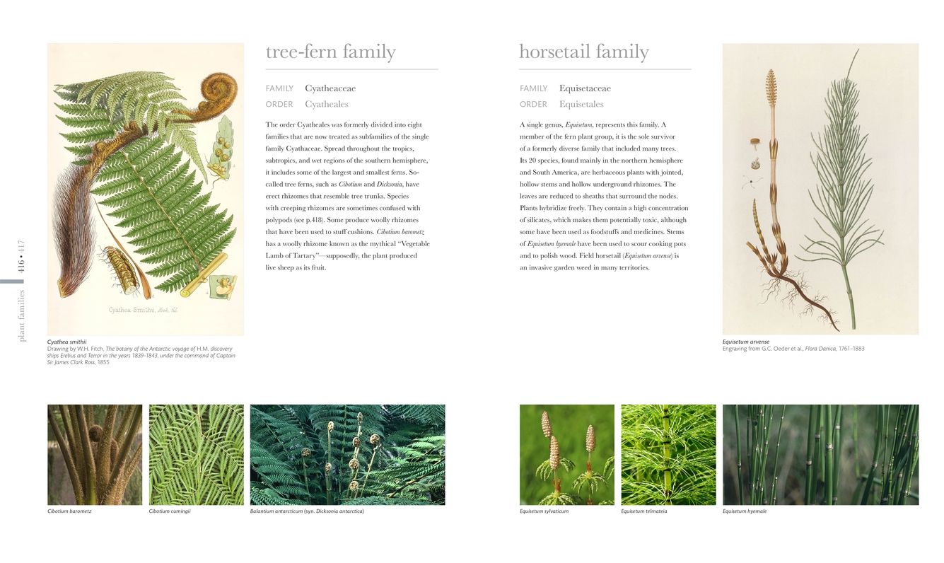 Smithsonian: Flora: The Definitive Visual Guide to the Plant Kingdom