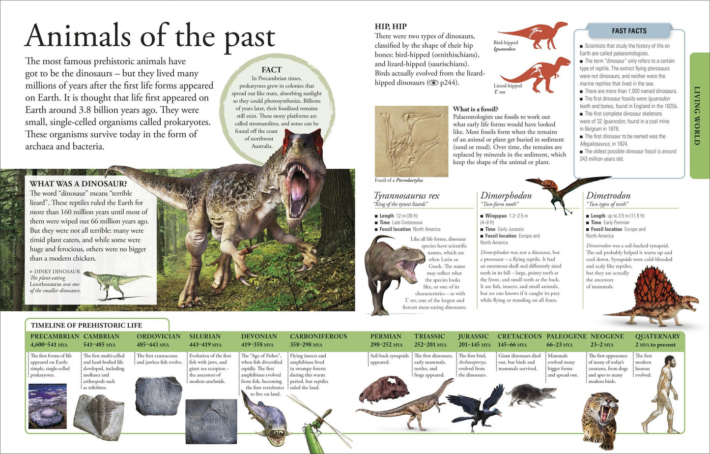 The New Children's Encyclopedia: Packed with Thousands of Facts, Stats, and Illustrations
