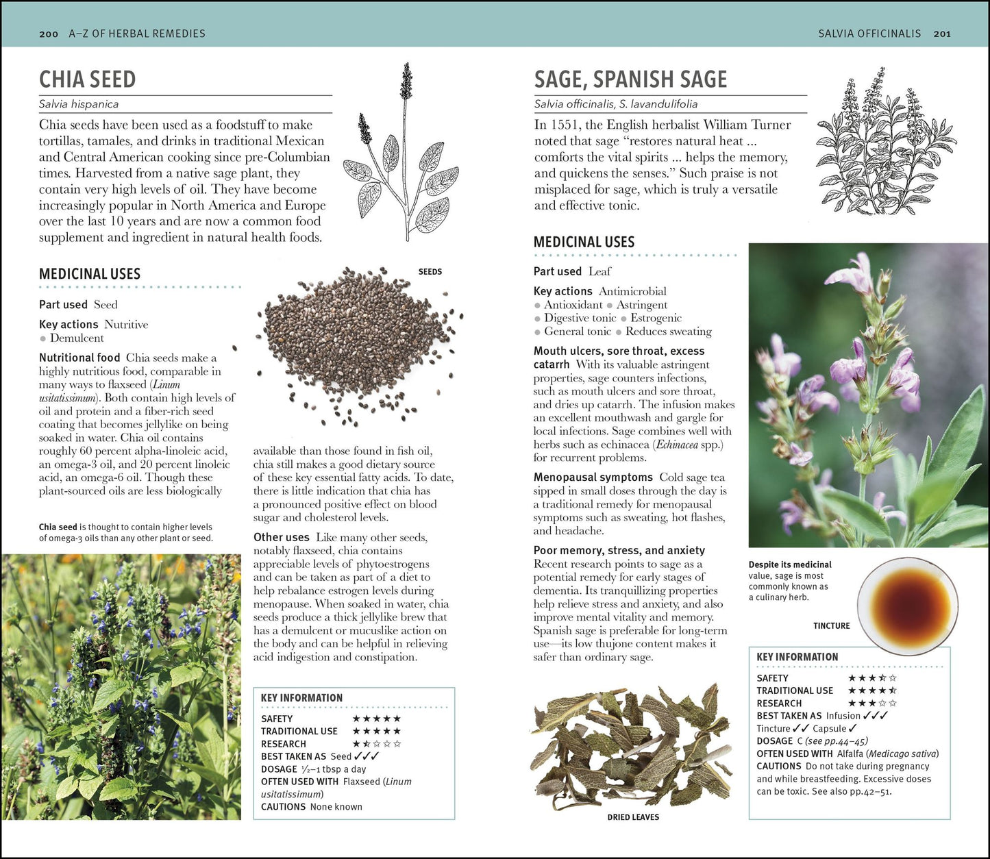 Herbal Remedies Handbook: More Than 140 Plant Profiles; Remedies for Over 50 Common Conditions