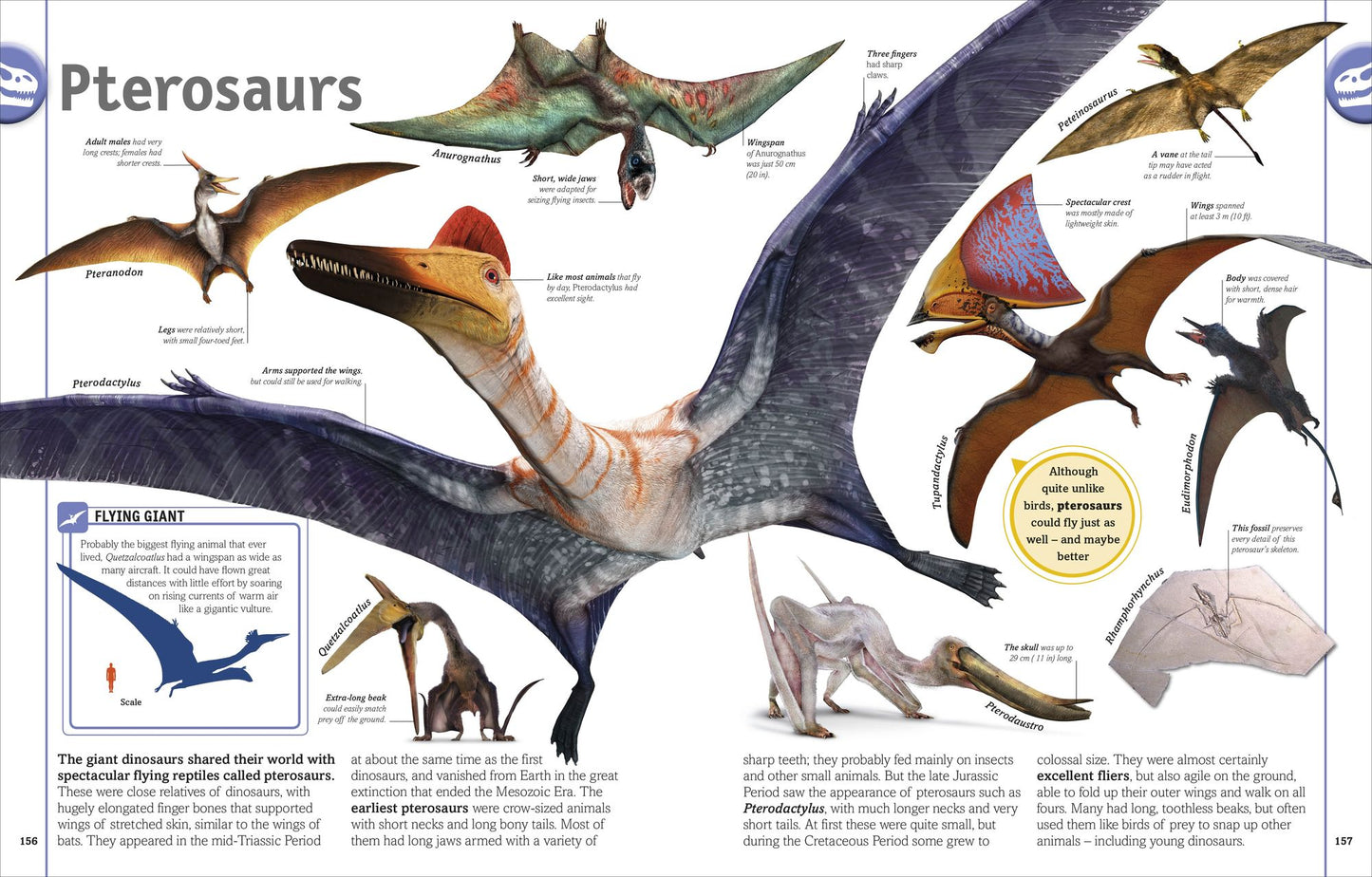 Smithsonian: The Dinosaur Book