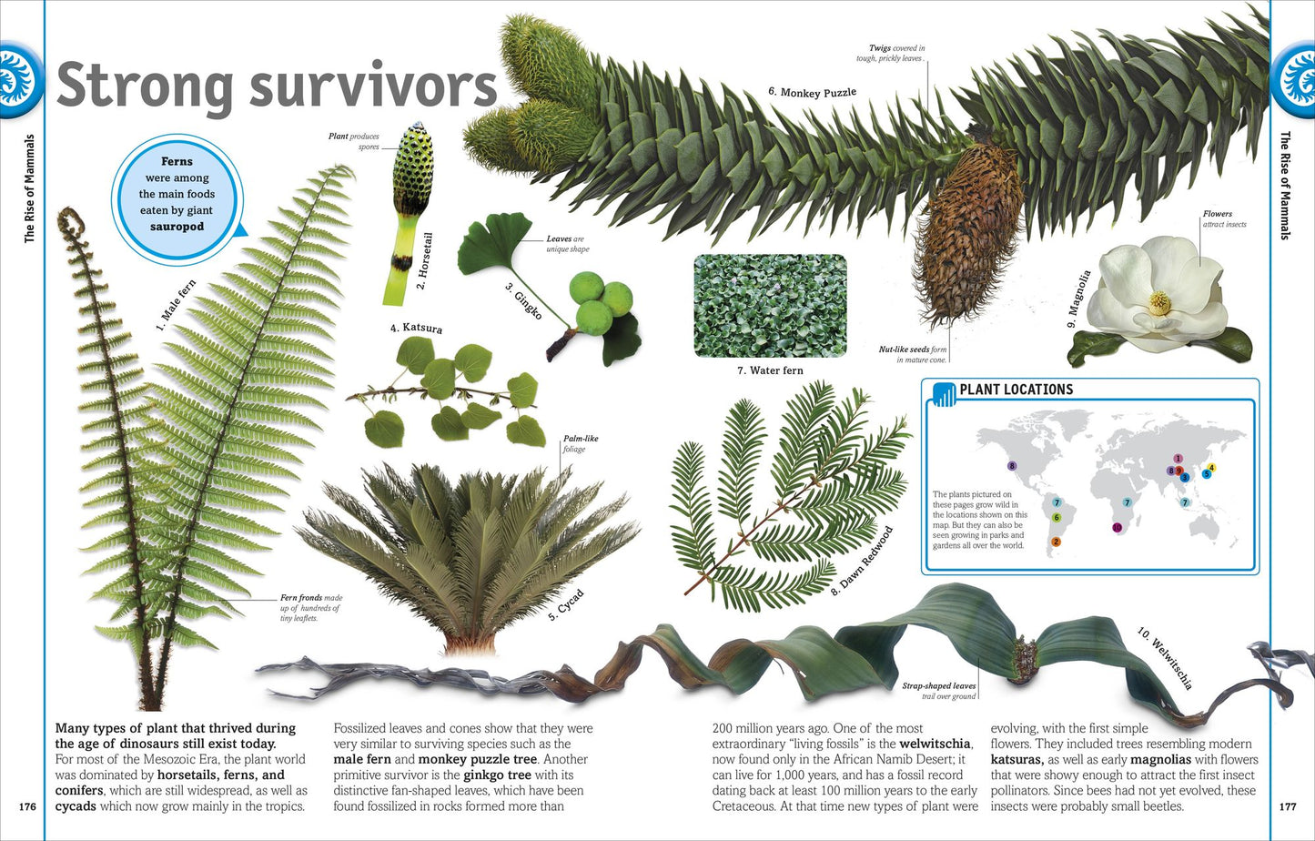 Smithsonian: The Dinosaur Book
