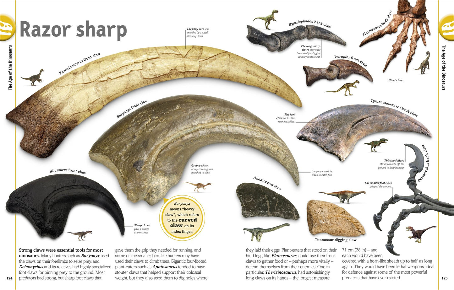 Smithsonian: The Dinosaur Book