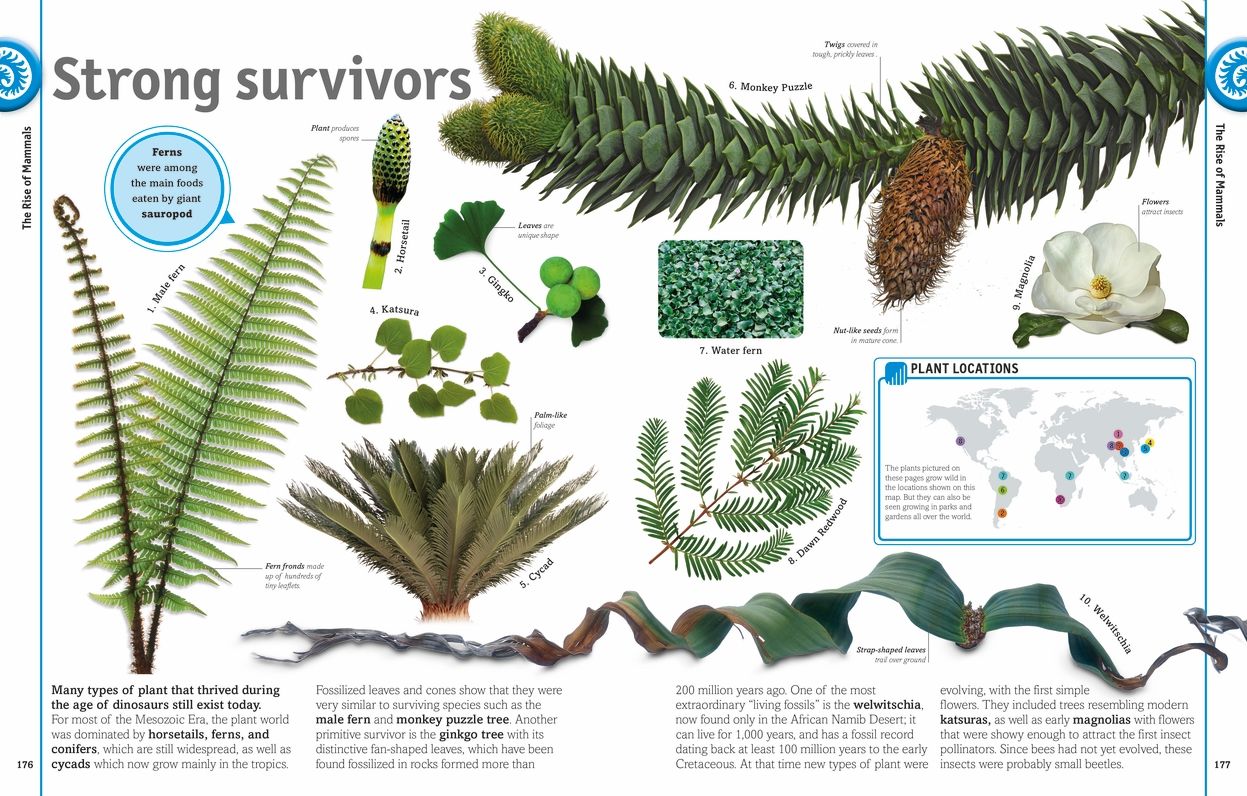 Smithsonian: The Dinosaur Book