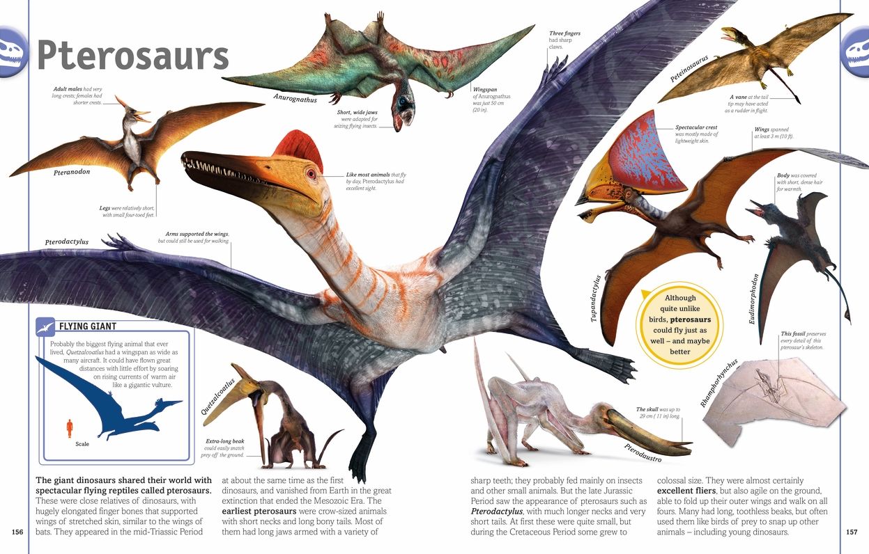 Smithsonian: The Dinosaur Book