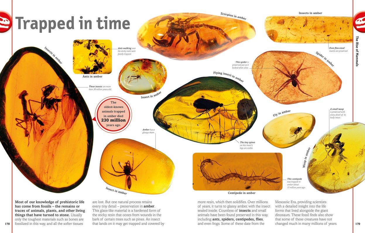 Smithsonian: The Dinosaur Book