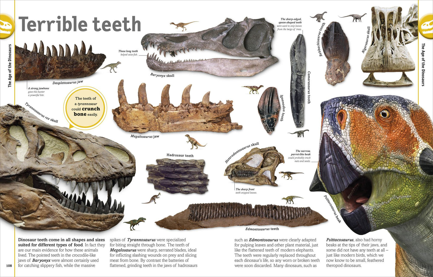 Smithsonian: The Dinosaur Book