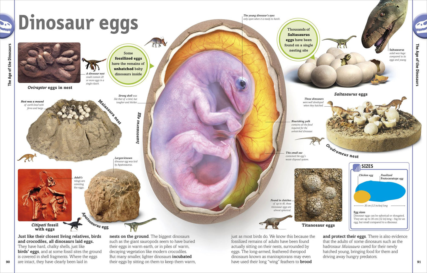 Smithsonian: The Dinosaur Book