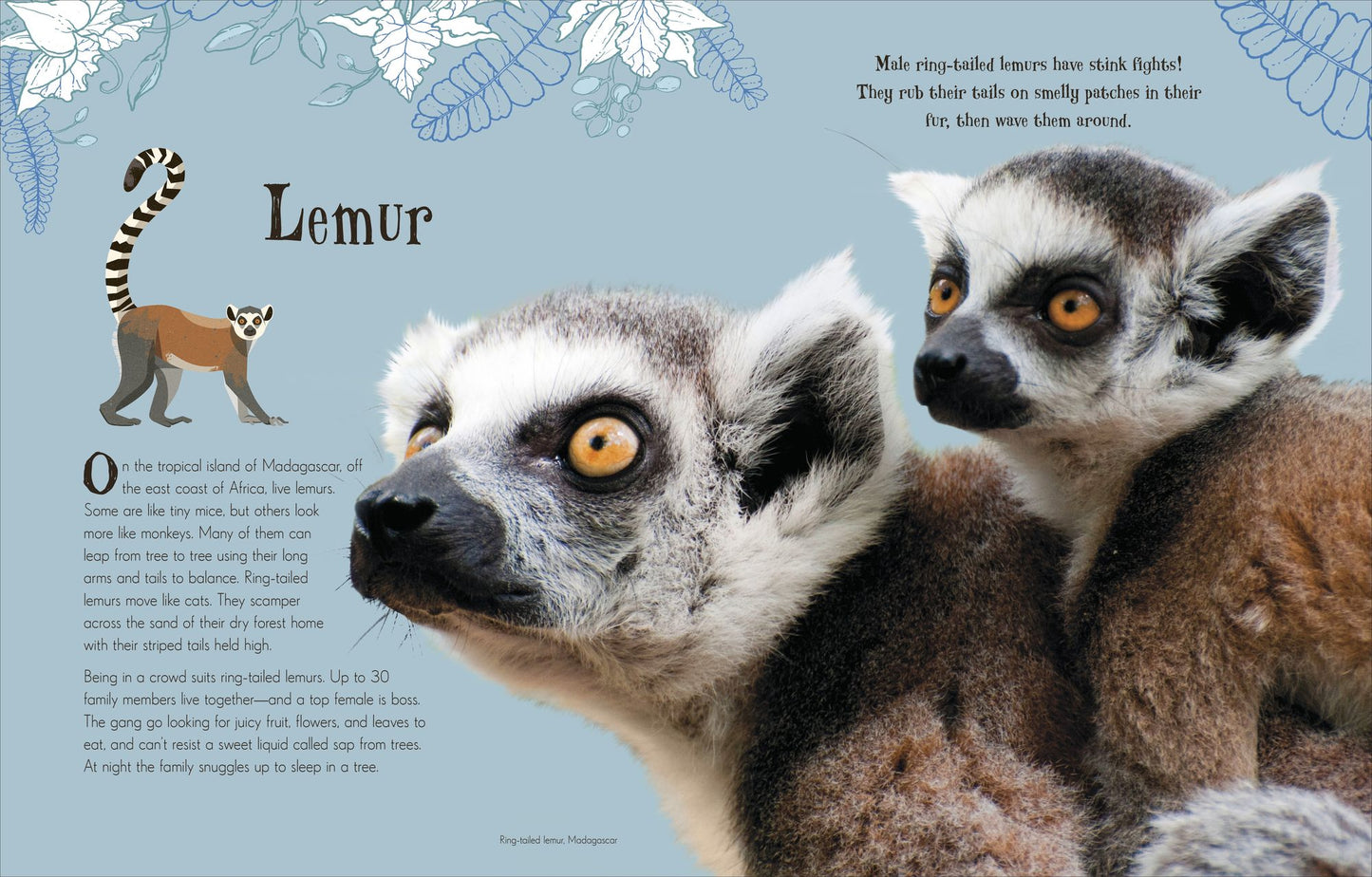 An Anthology of Intriguing Animals