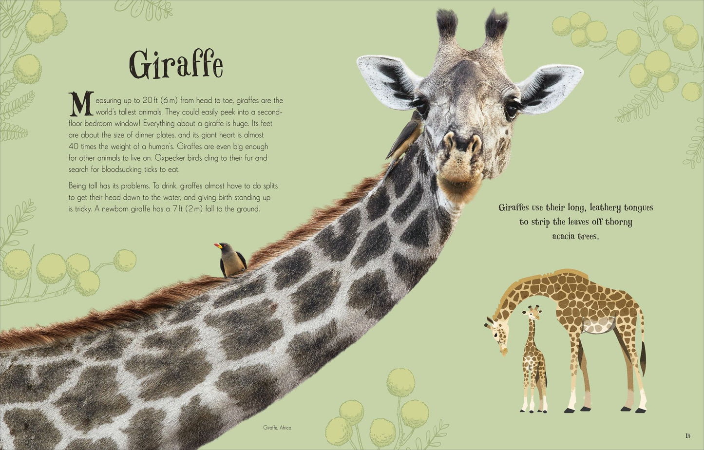 An Anthology of Intriguing Animals