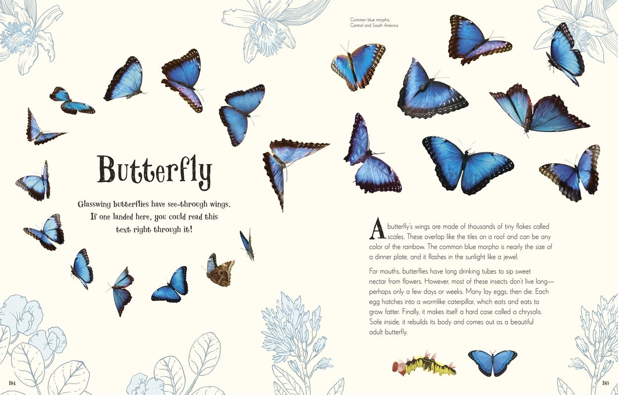 An Anthology of Intriguing Animals