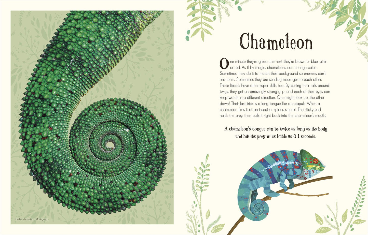An Anthology of Intriguing Animals