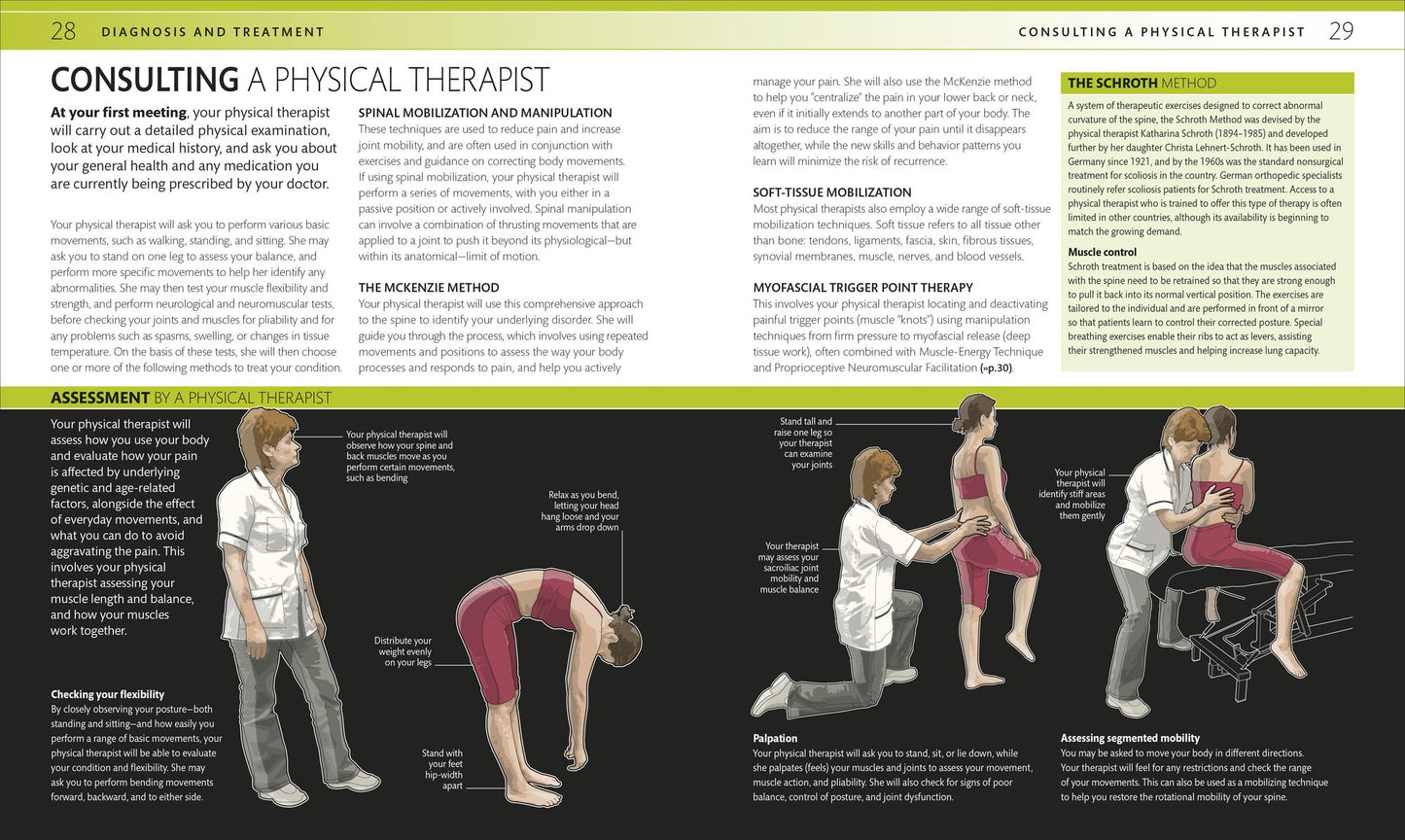 Strengthen Your Back: Exercises to Build a Better Back and Improve Your Posture