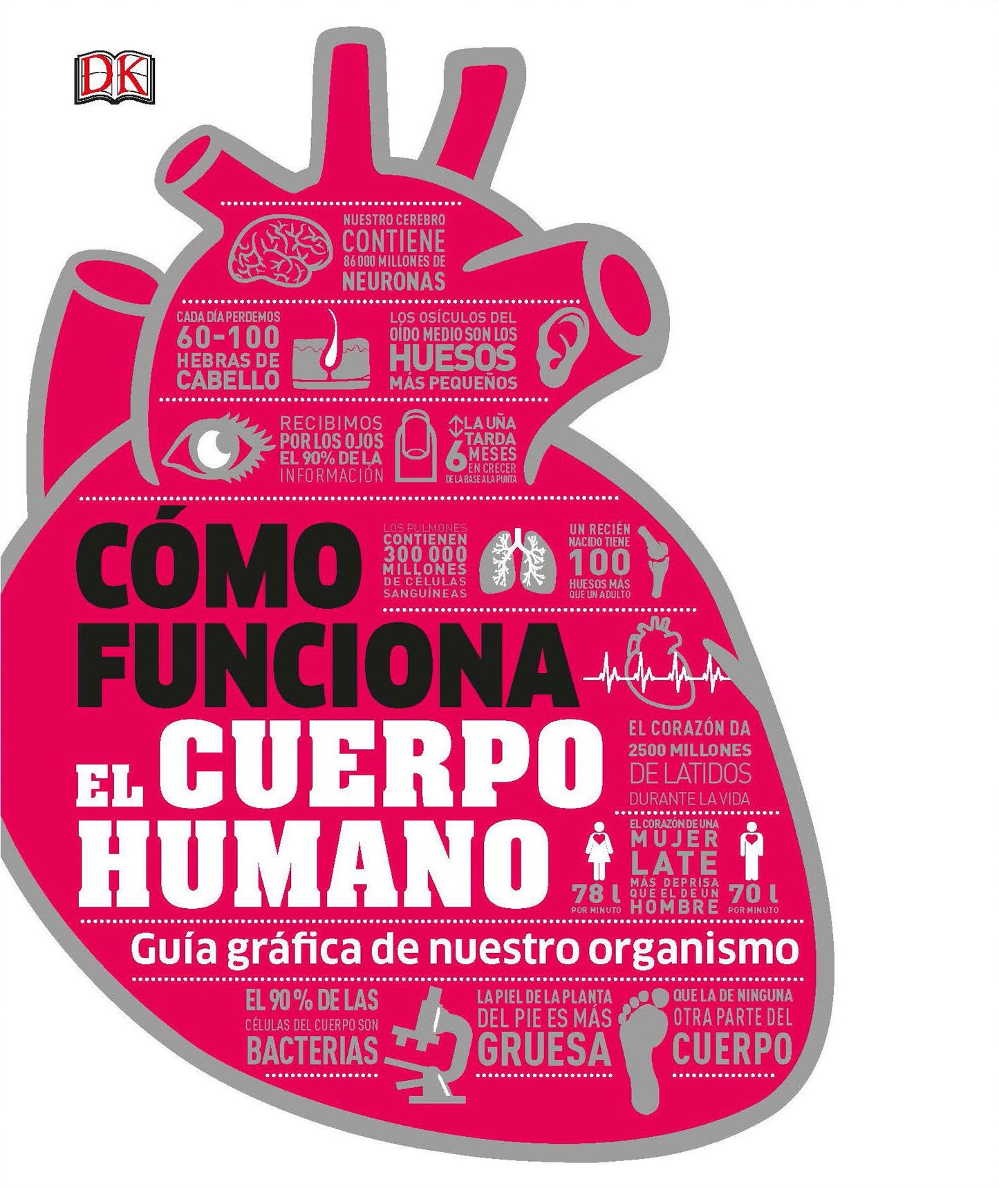 Como Funciona el Cuerpo Humano: Guia grafica de nuestro organismo
