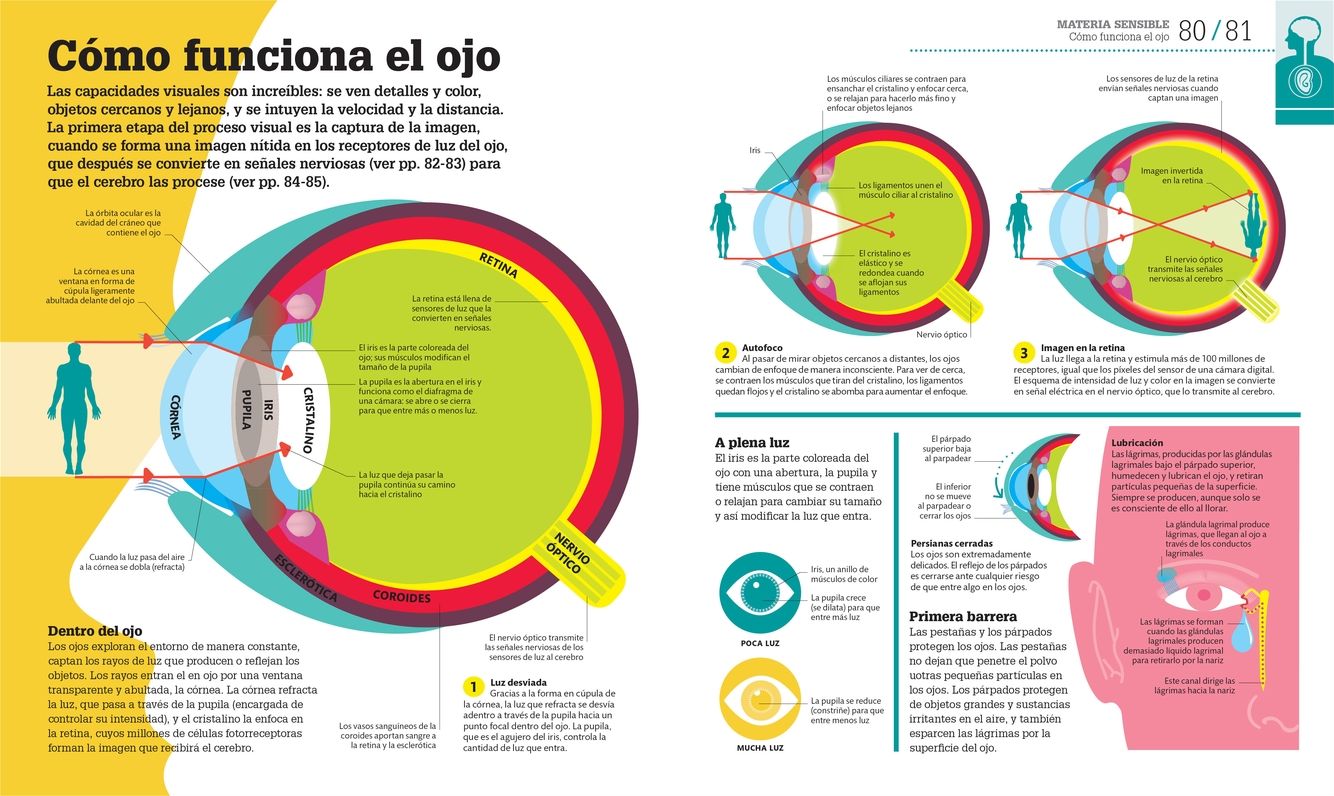 Como Funciona el Cuerpo Humano: Guia grafica de nuestro organismo