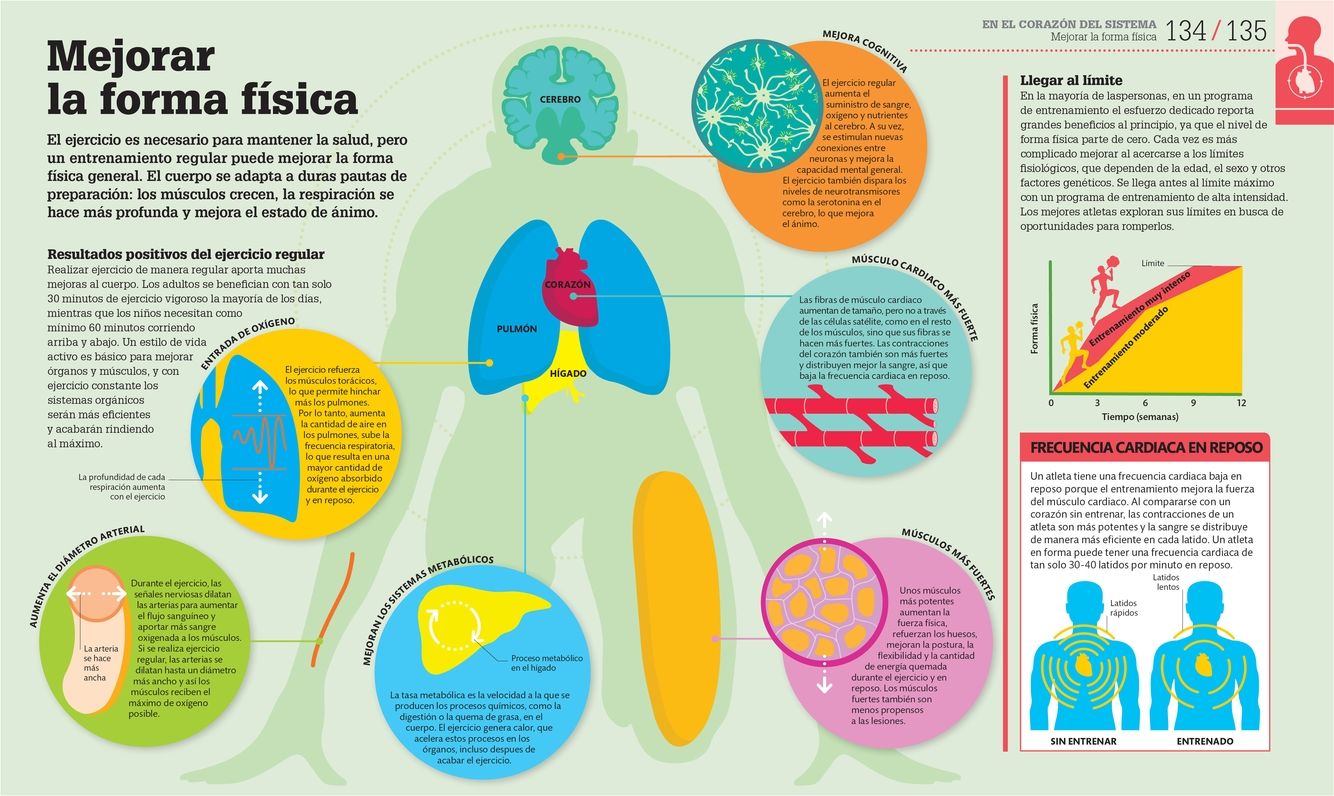 Como Funciona el Cuerpo Humano: Guia grafica de nuestro organismo