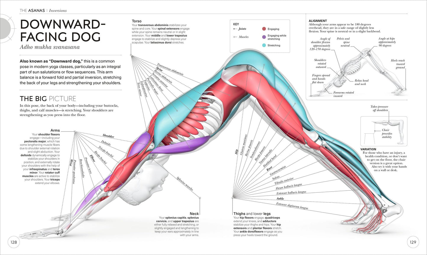 Science of Yoga: Understand the Anatomy and Physiology to Perfect Your Practice