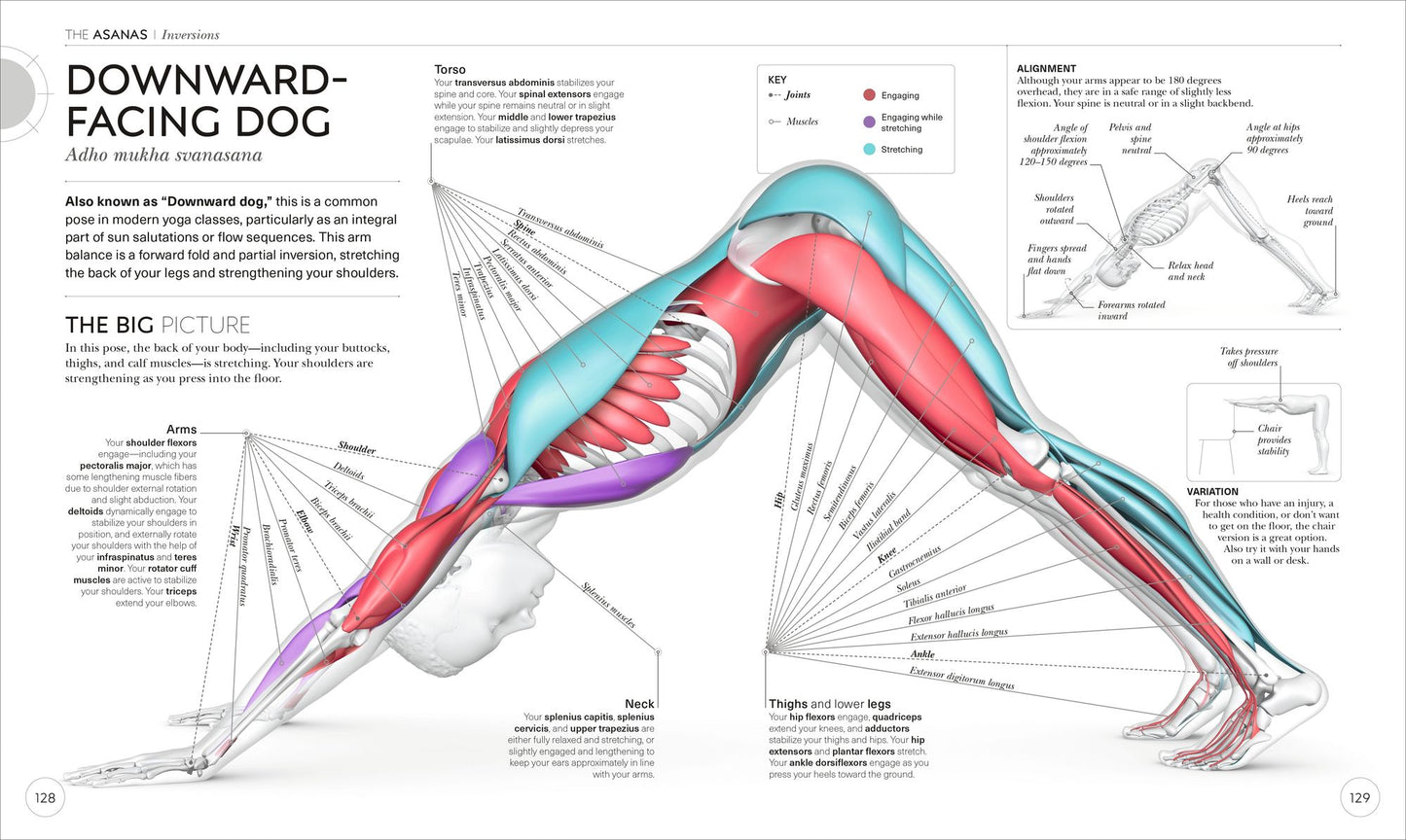 Science of Yoga: Understand the Anatomy and Physiology to Perfect Your Practice