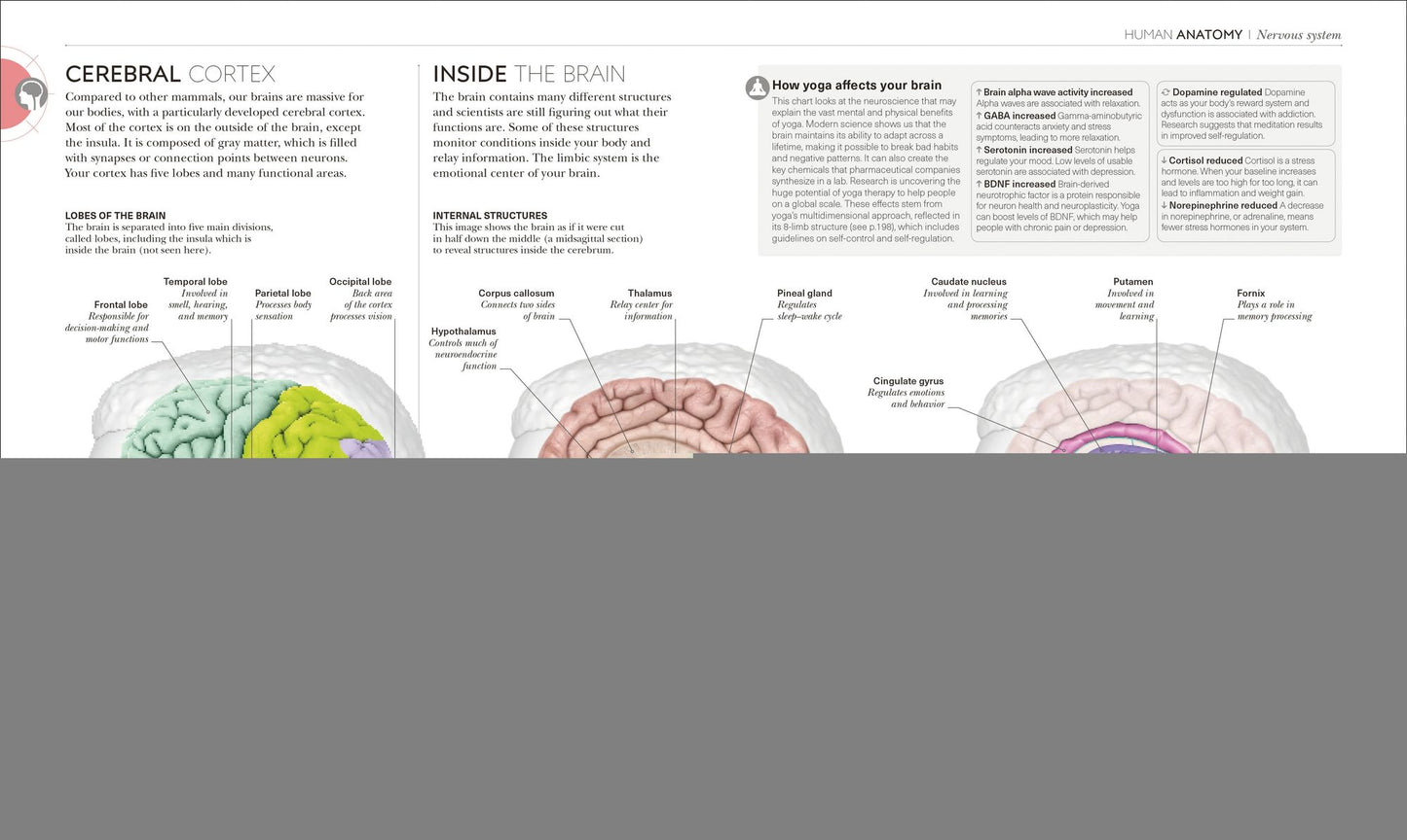 Science of Yoga: Understand the Anatomy and Physiology to Perfect Your Practice