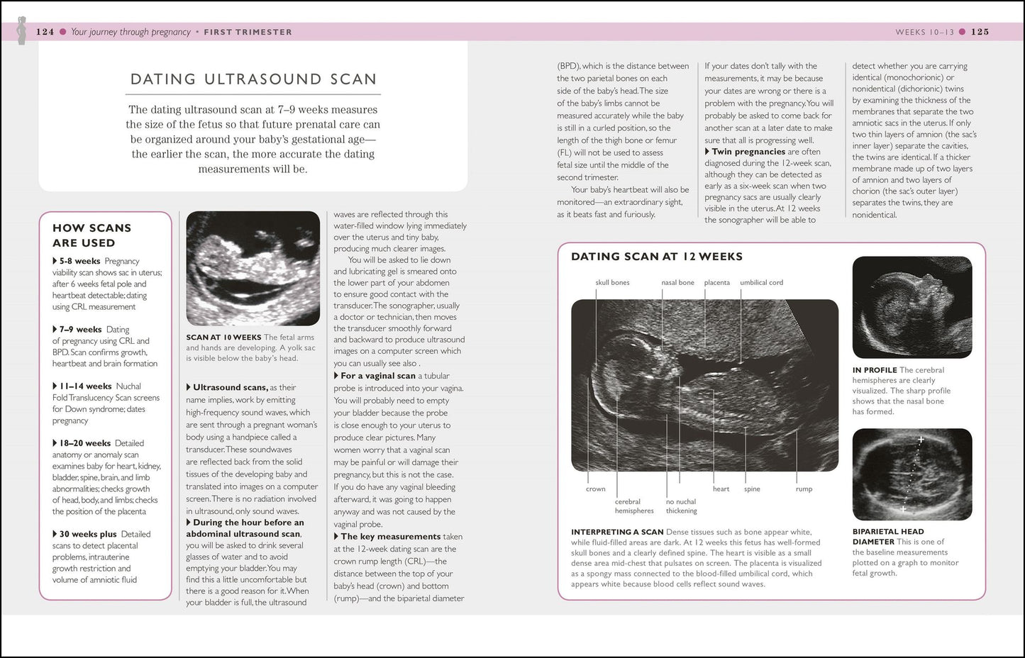 I'm Pregnant!: A week-by-week guide from conception to birth