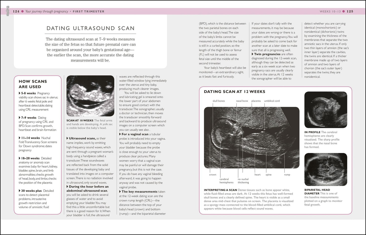 I'm Pregnant!: A week-by-week guide from conception to birth