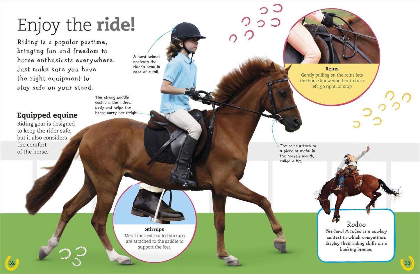 The Everything Book of Horses and Ponies